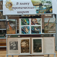 В плену тропических широт