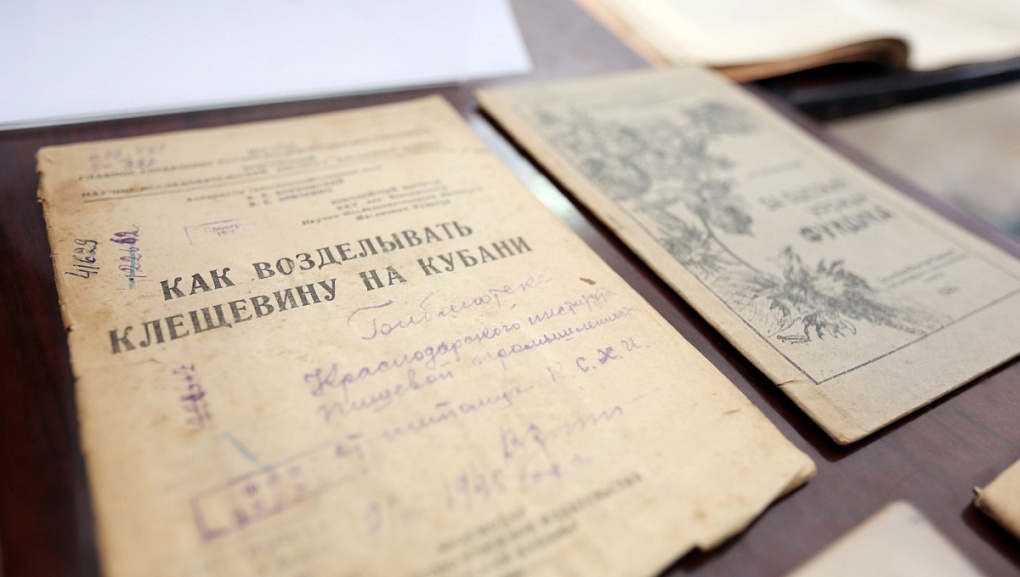 Нам книга строить и жить помогает