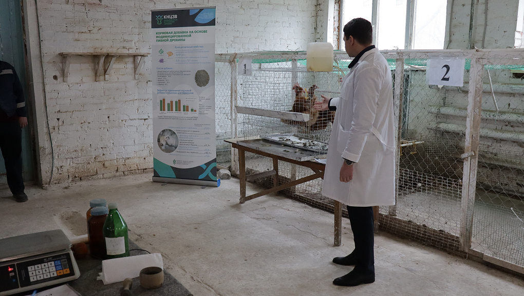 Студенты КУБГАУ изучили методологию научных опытов в Краснодарском научном центре по зоотехнии и ветеринарии