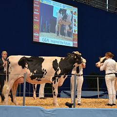 Ученые КубГАУ на выставке EuroTier