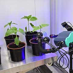 Делегация Кубанского ГАУ приняла участие в выездном совещании главы Минсельхоза РФ в Адыгее