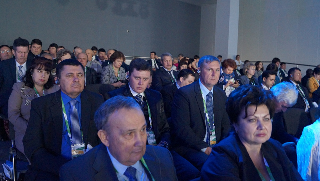О развитии мирового рынка зерна