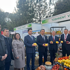 Укрепление международных связей