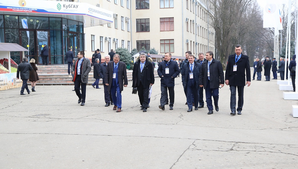 Началась работа выставки