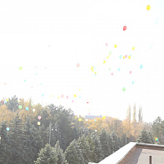 100 шагов навстречу Играм 2014