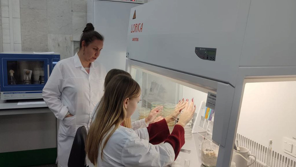 Один день в КубГАУ: как это было