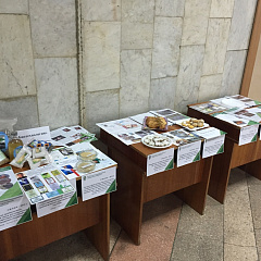 «УМНИКи» КубГАУ
