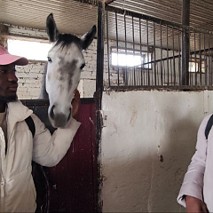 Путешествие иностранцев в конноспортивный клуб