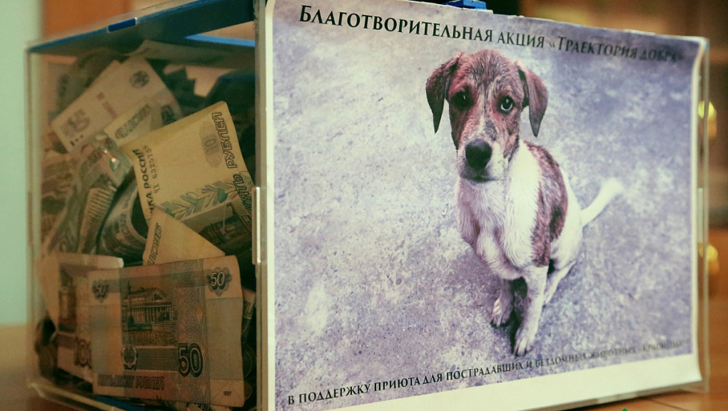Траектория добра КубГАУ