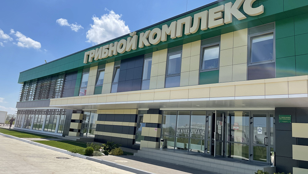 Развитие партнерских отношений 