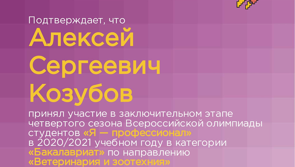 "Я – профессионал"
