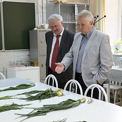 Международную экономическую научную школу в КубГАУ посетили эксперты из столицы