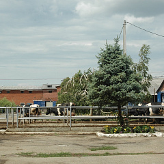 Дневник летней школы: день шестой