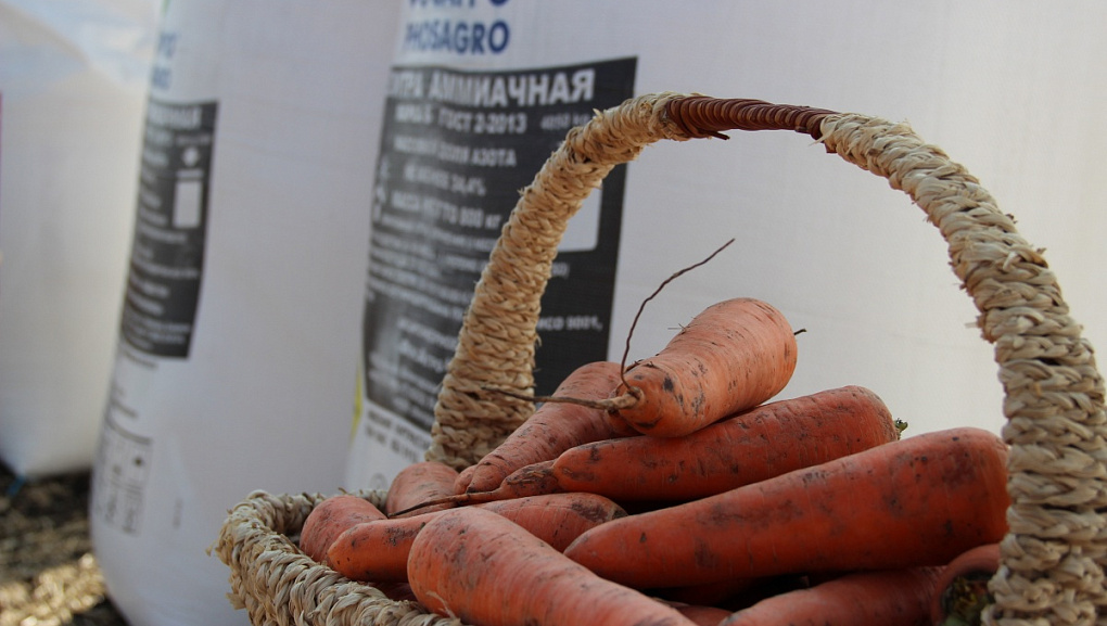 Students of the Faculty of Agrochemistry took part in the field agrotechnological conference