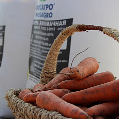 Students of the Faculty of Agrochemistry took part in the field agrotechnological conference