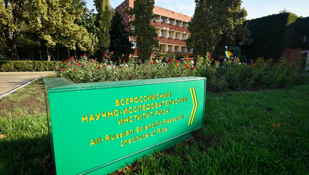 Решение экологических проблем при утилизации соломы