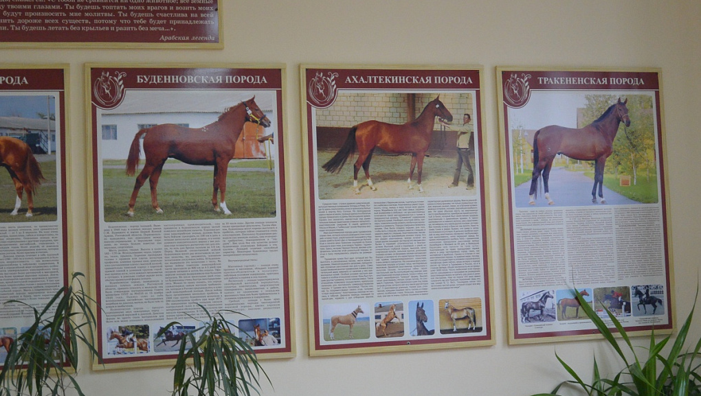 Профориентация в Курганинске