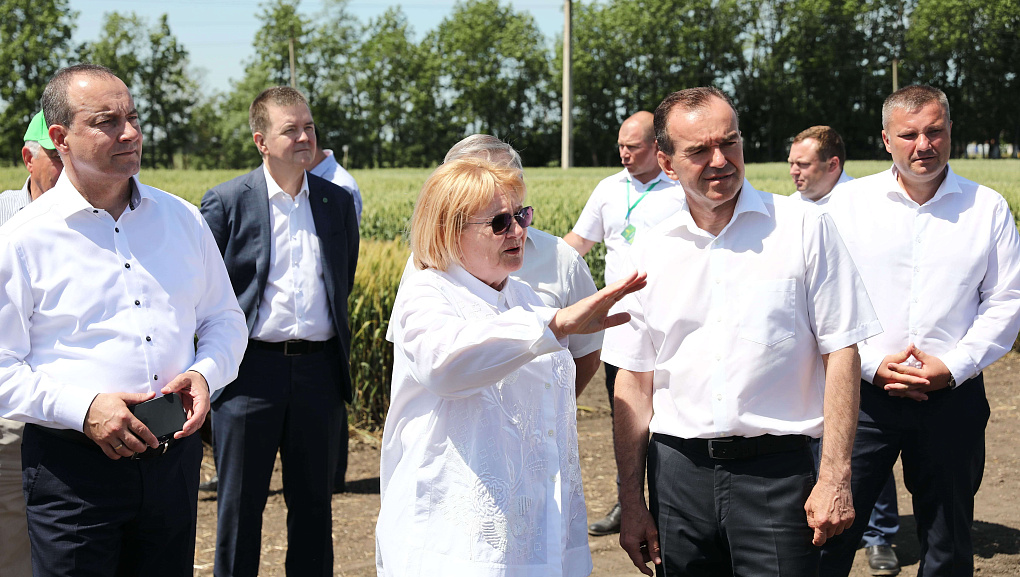 Учхоз "Кубань" принимал гостей со всей Кубани на ежегодное мероприятие "День поля"