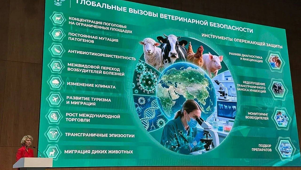 От профилактики до новых вакцин!