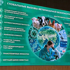 От профилактики до новых вакцин!