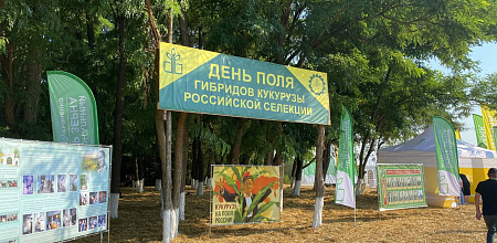 Научно-полевой семинар «День поля»