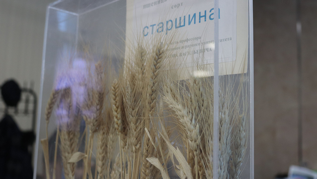 Юбилейная дата Якова Губанова