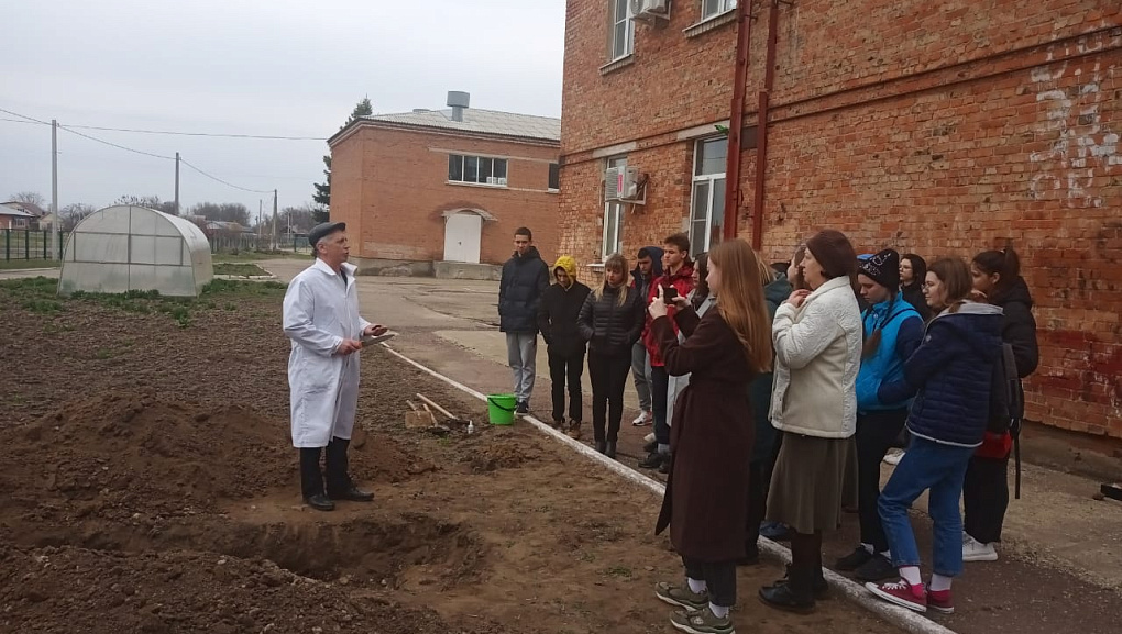 Приоритет 2030: проведена экспертная оценка 200 творческих работ от школьных команд Кубани в рамках проекта «Профориентационные уроки будущего»