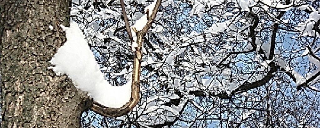 На пороге Новый 2012 год!