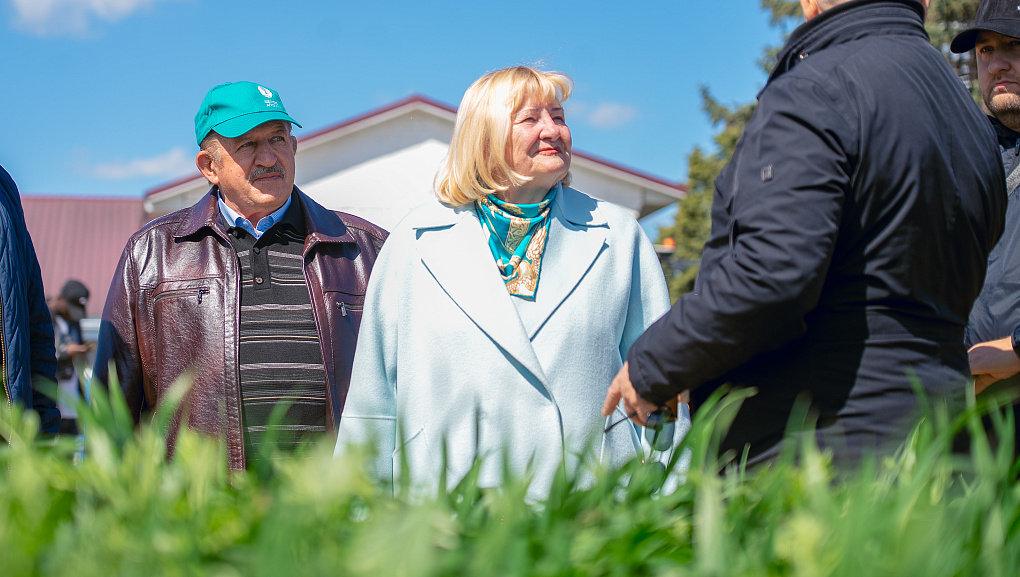 Тритикале – культура будущего