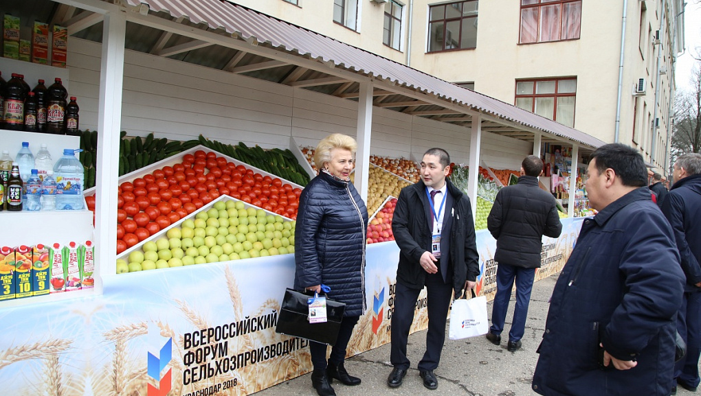 Началась работа выставки