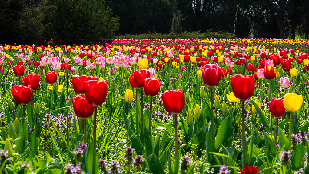 Пять дней погружения в науку