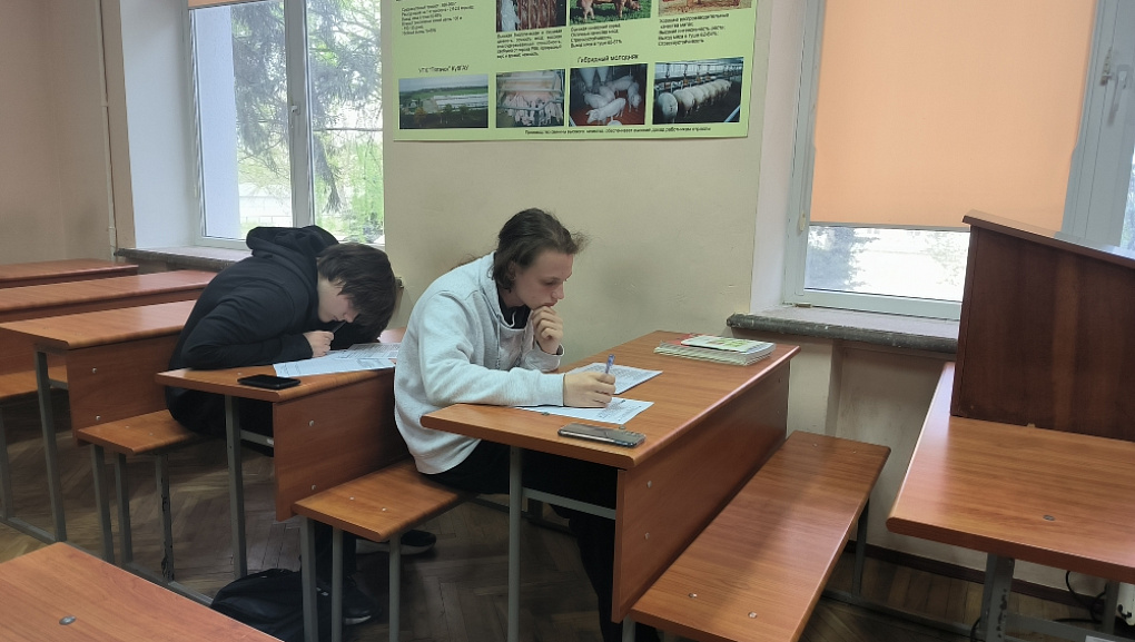  Олимпиада по русскому языку