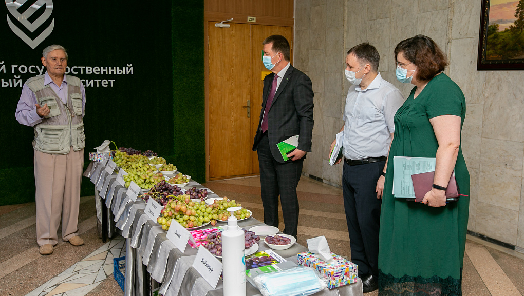 Достижения виноградарей 