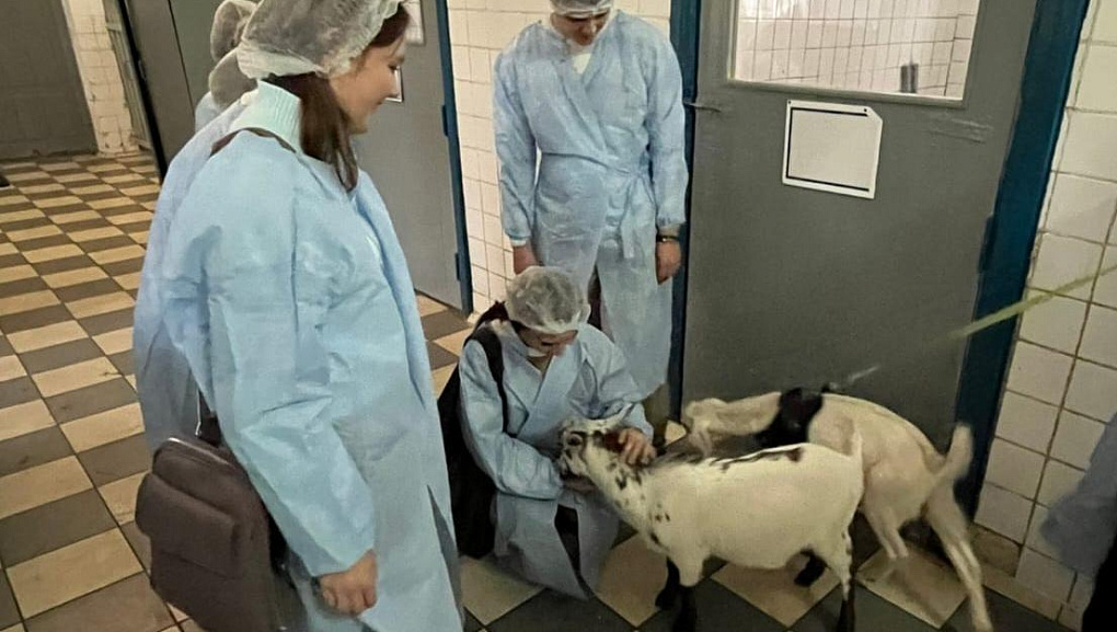 Студенты КубГАУ в Беларуси