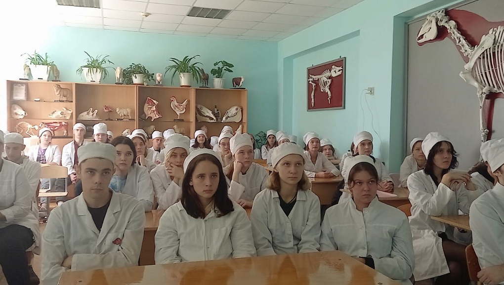 Профработа в Лабинском аграрном техникуме 