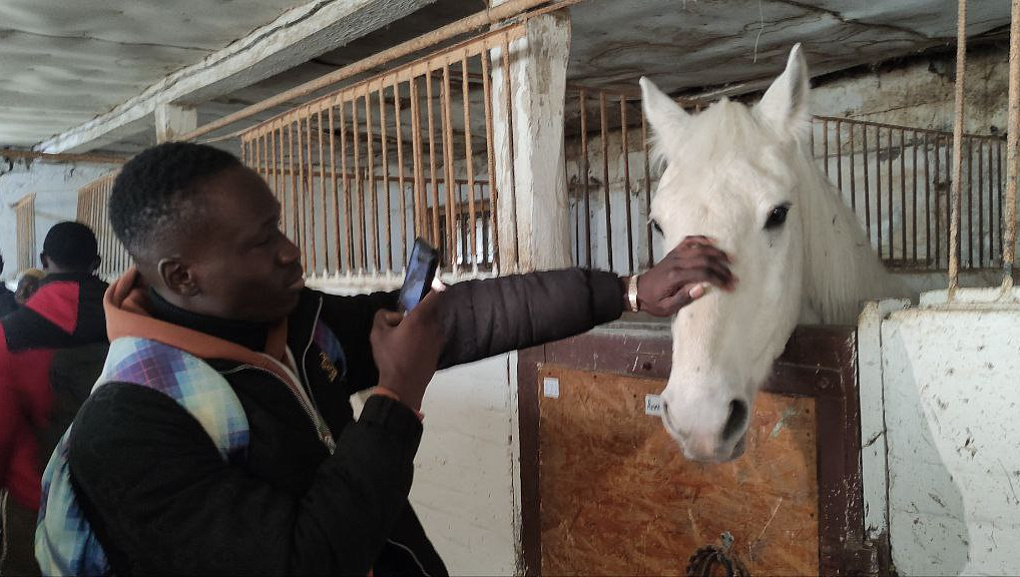 Путешествие иностранцев в конноспортивный клуб