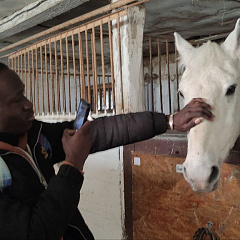 Путешествие иностранцев в конноспортивный клуб