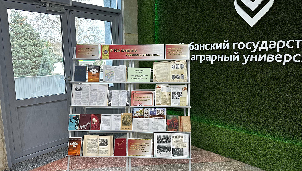 «В том феврале, суровом снежном…»