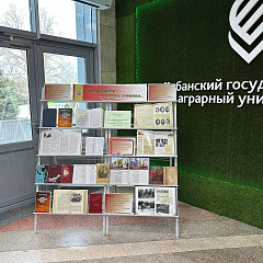 «В том феврале, суровом снежном…»
