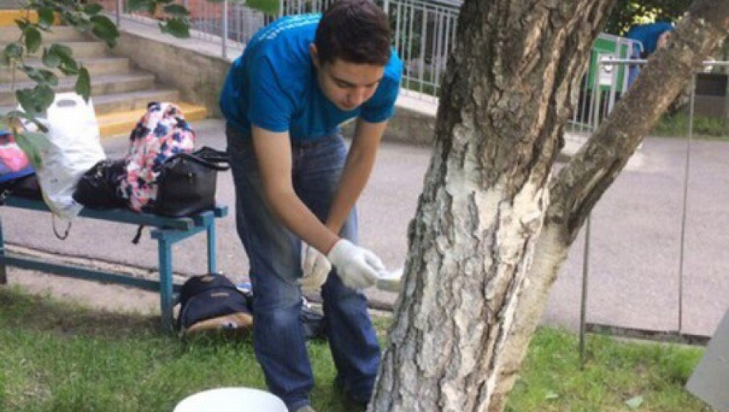Порядок прежде всего