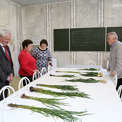 Международную экономическую научную школу в КубГАУ посетили эксперты из столицы