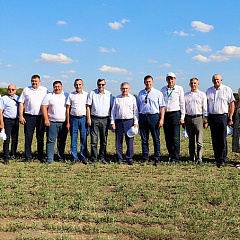 День поля ВНИИМК-2024