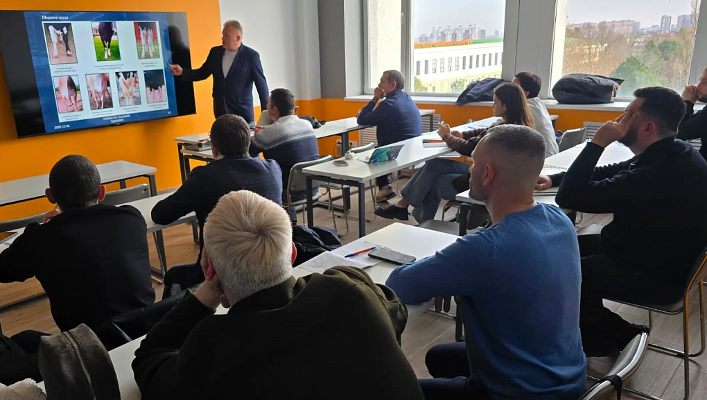 Оцениваем корову глазами эксперта: совершенствуемся вместе с лучшими специалистами отрасли