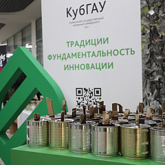 Наши казаки
