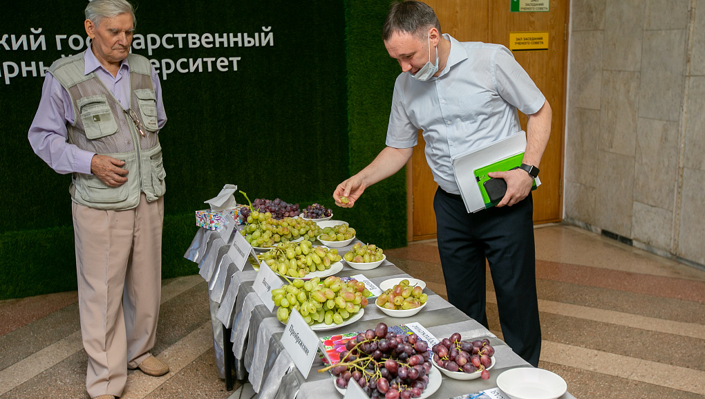 Достижения виноградарей 