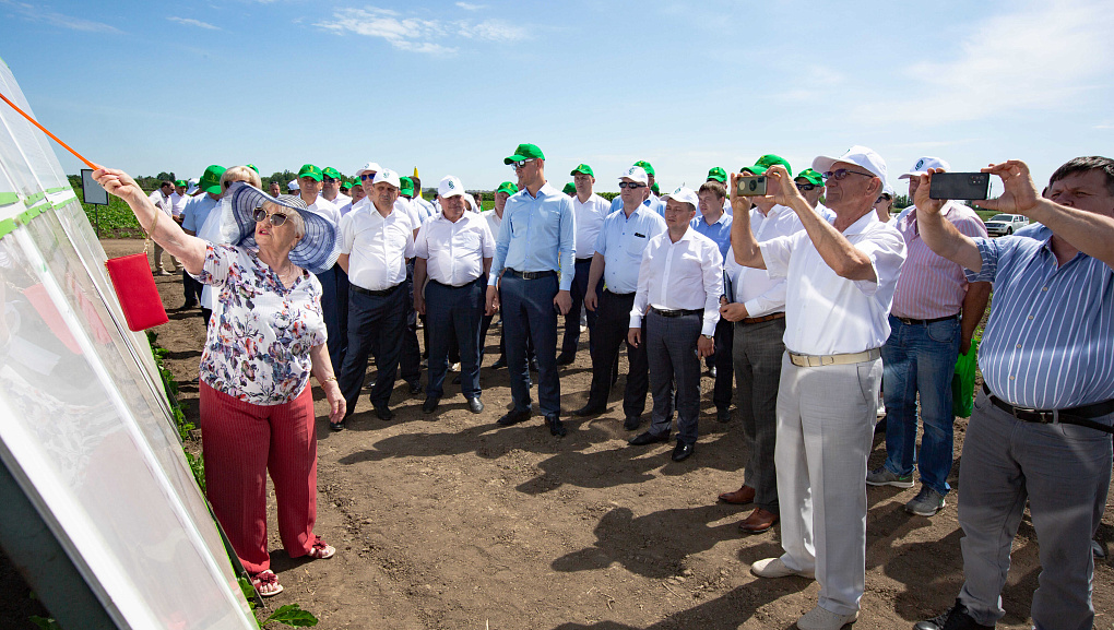 Учхоз "Кубань" принимал гостей со всей Кубани на ежегодное мероприятие "День поля"