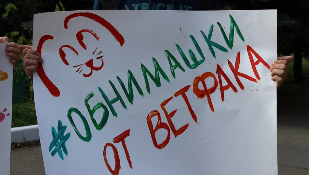 Всемирный день доброты