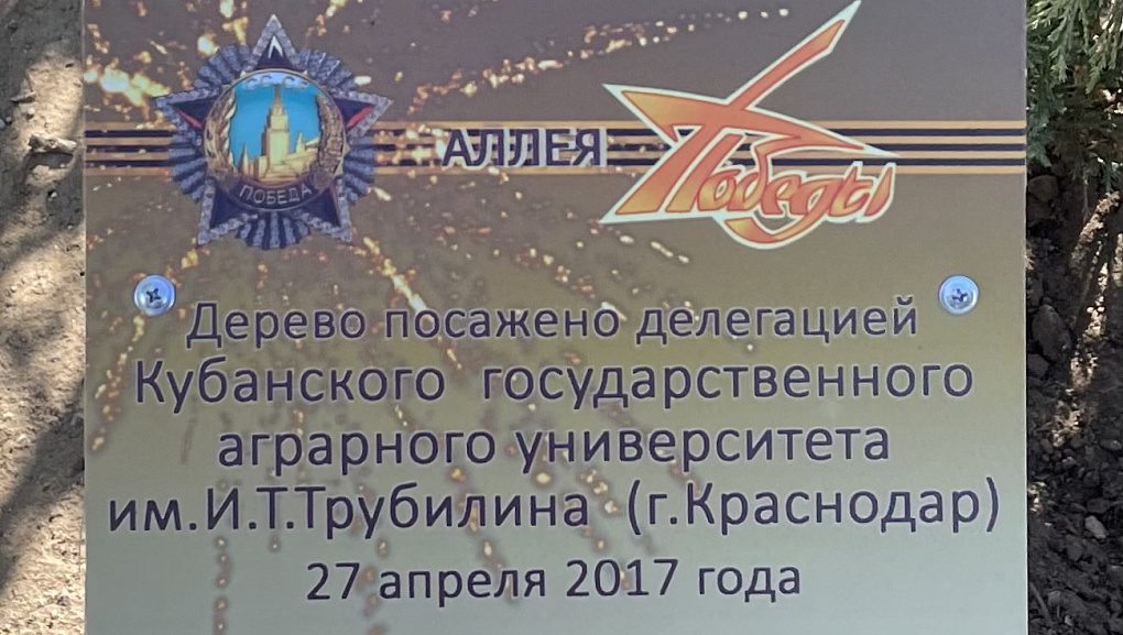 Слет «Родная земля» 