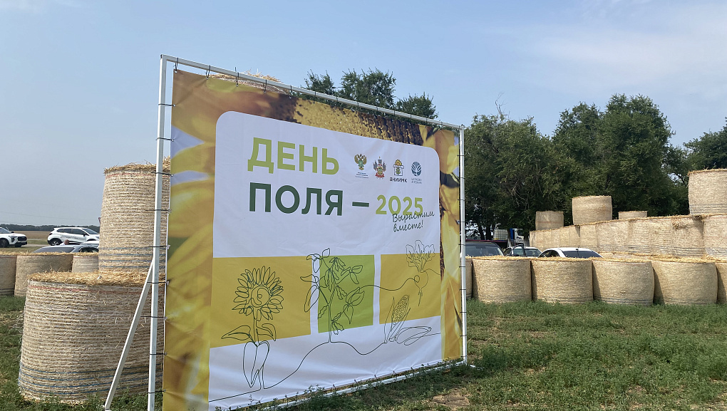 Встреча ЮНАТ на полях ВНИИМК