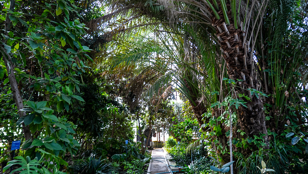 Пять дней погружения в науку